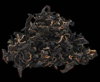 QingQian